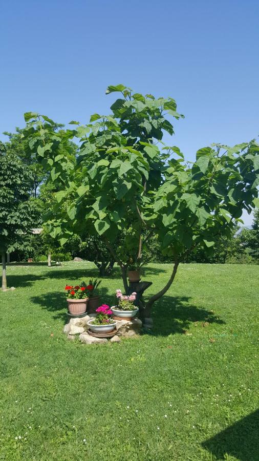 Country House Bucaneve Rovolon Zewnętrze zdjęcie